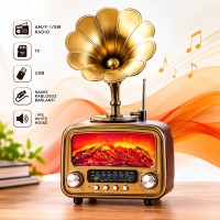 Vintage Retro Bluetooth Hoparlör Gramofon Tasarımlı AM FM SW Radyo USB TF Kartlı RT-422