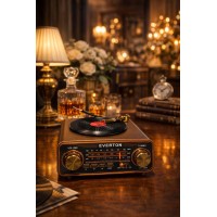 Plak Görünümlü Nostaljik Radyo RT-604